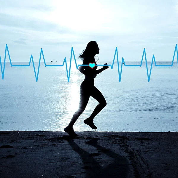 Cardiovascular Health Cardiovascular Health