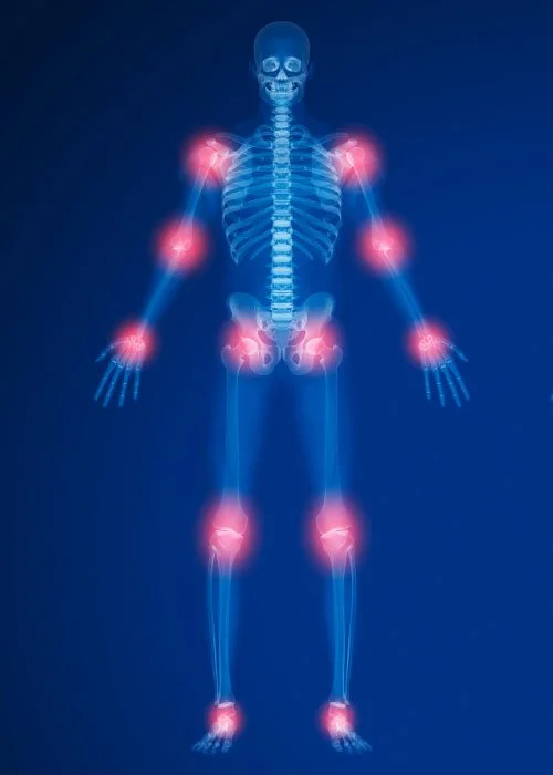 Joint Health Body Anatomy Joint Health Body Anatomy