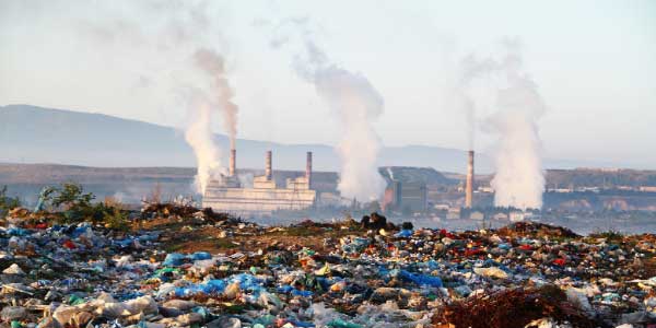 Environmental Contaminants Environmental Contaminants