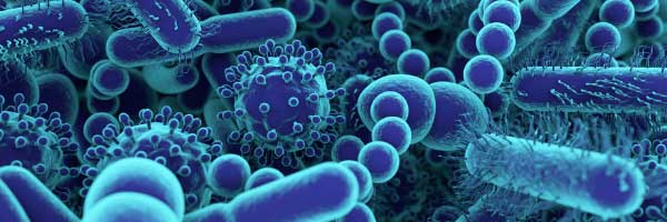 Environmental Toxins Environmental Toxins